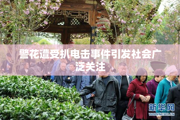 警花遭受扒电击事件引发社会广泛关注
