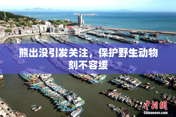 熊出没引发关注，保护野生动物刻不容缓