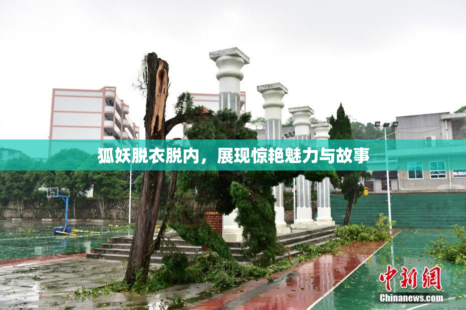 狐妖脱衣脱内，展现惊艳魅力与故事