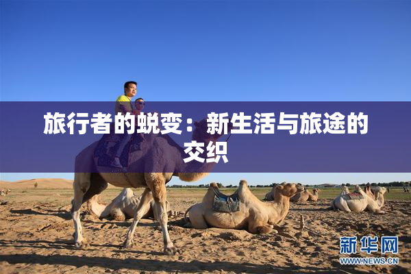 旅行者的蜕变：新生活与旅途的交织