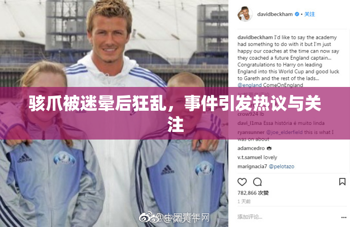 骇爪被迷晕后狂乱，事件引发热议与关注
