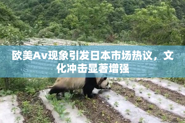 欧美Av现象引发日本市场热议，文化冲击显著增强