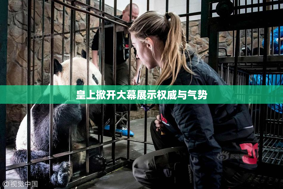 皇上掀开大幕展示权威与气势