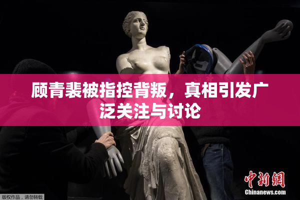 顾青裴被指控背叛，真相引发广泛关注与讨论