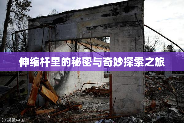 伸缩杆里的秘密与奇妙探索之旅