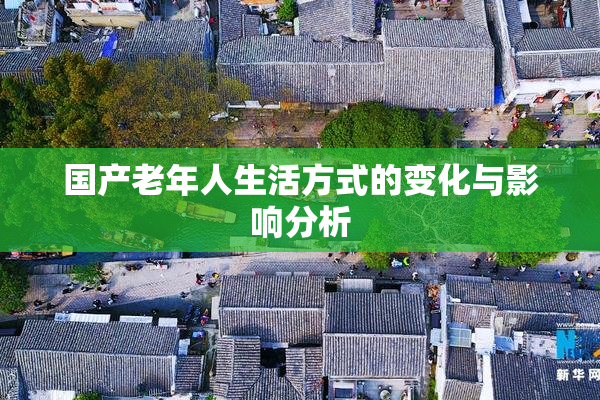 国产老年人生活方式的变化与影响分析