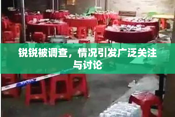 锐锐被调查，情况引发广泛关注与讨论