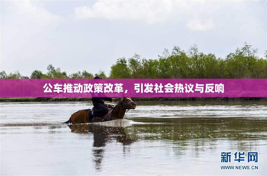 公车推动政策改革，引发社会热议与反响