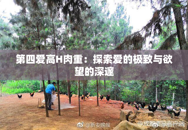 第四爱高H肉重：探索爱的极致与欲望的深邃