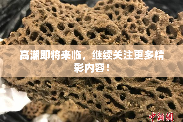 高潮即将来临，继续关注更多精彩内容！