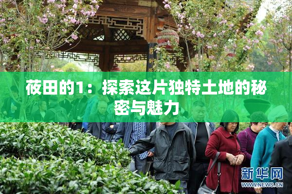 莜田的1：探索这片独特土地的秘密与魅力
