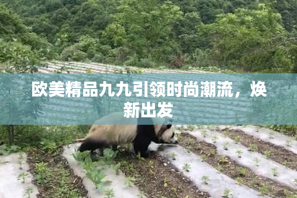 欧美精品九九引领时尚潮流，焕新出发
