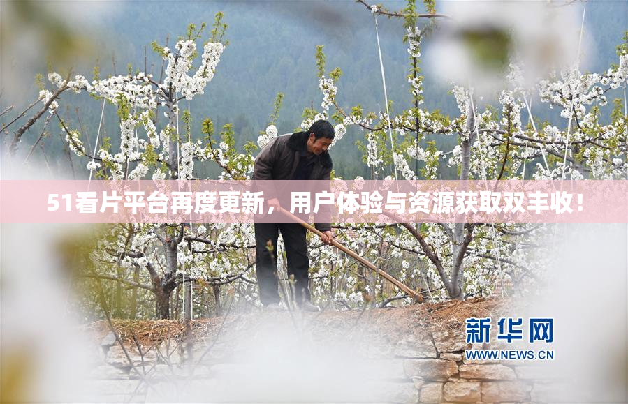 51看片平台再度更新，用户体验与资源获取双丰收！