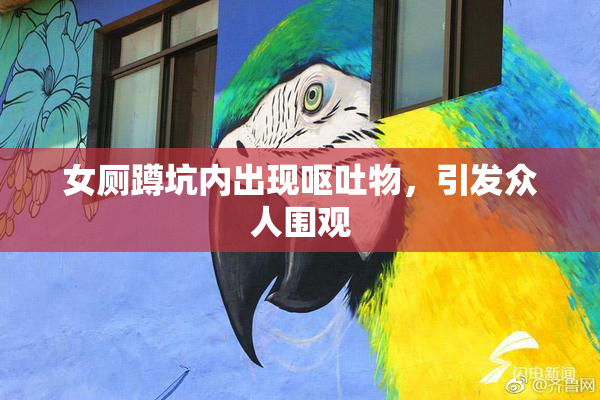 女厕蹲坑内出现呕吐物，引发众人围观