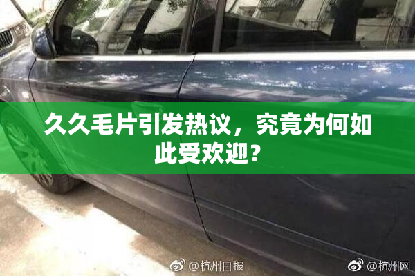 久久毛片引发热议，究竟为何如此受欢迎？