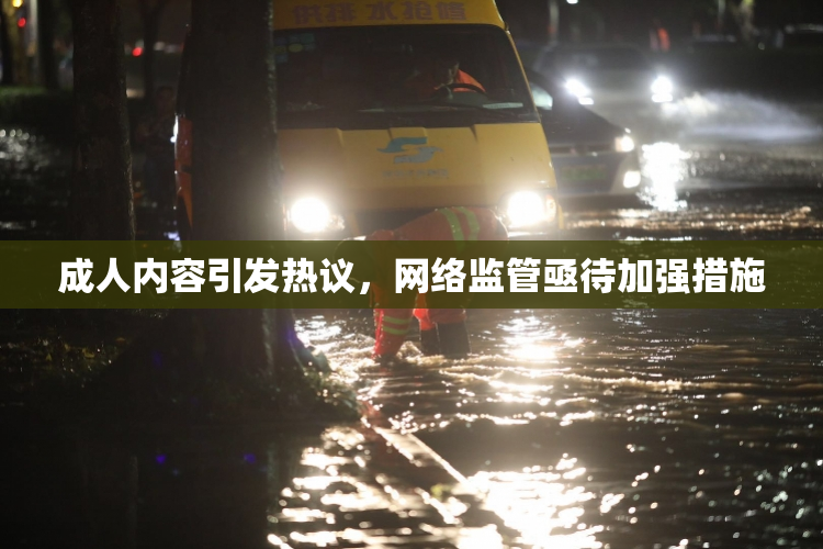 成人内容引发热议，网络监管亟待加强措施