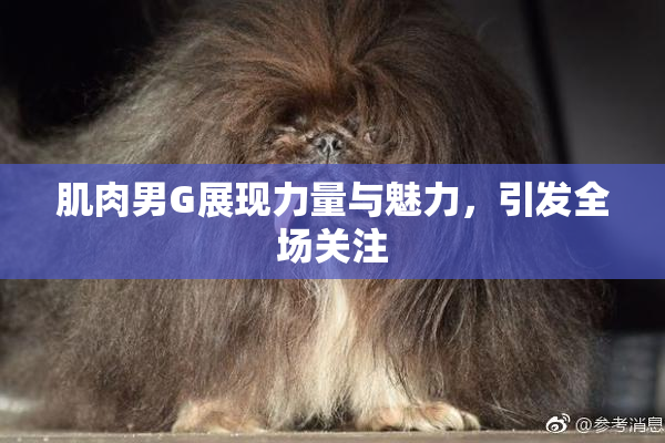 肌肉男G展现力量与魅力，引发全场关注
