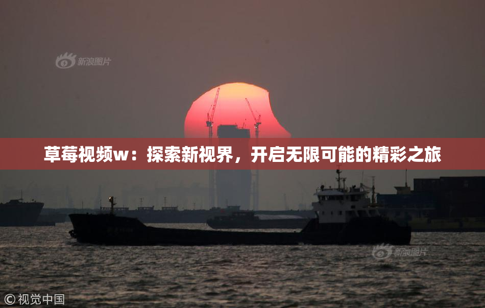 草莓视频w：探索新视界，开启无限可能的精彩之旅