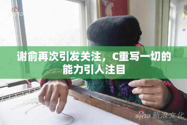 谢俞再次引发关注，C重写一切的能力引人注目