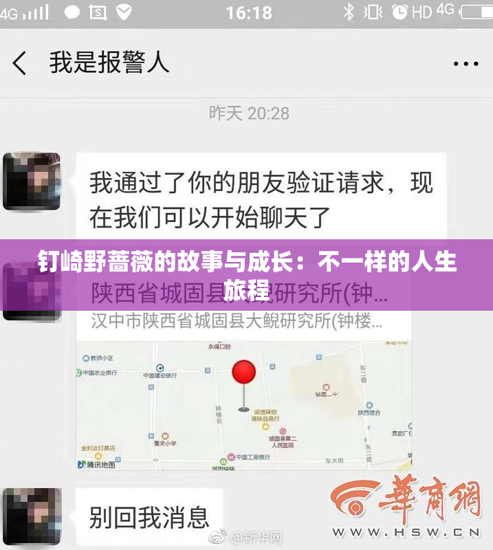 钉崎野蔷薇的故事与成长：不一样的人生旅程