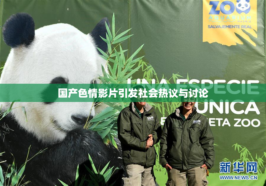 国产色情影片引发社会热议与讨论