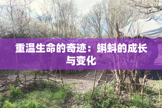 重温生命的奇迹：蝌蚪的成长与变化