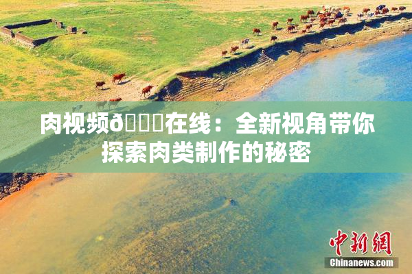 肉视频🔞在线：全新视角带你探索肉类制作的秘密
