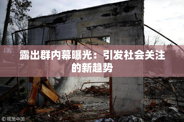 露出群内幕曝光：引发社会关注的新趋势