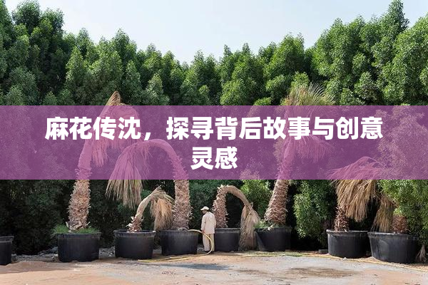 麻花传沈，探寻背后故事与创意灵感