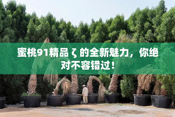 蜜桃91精品 ζ 的全新魅力，你绝对不容错过！