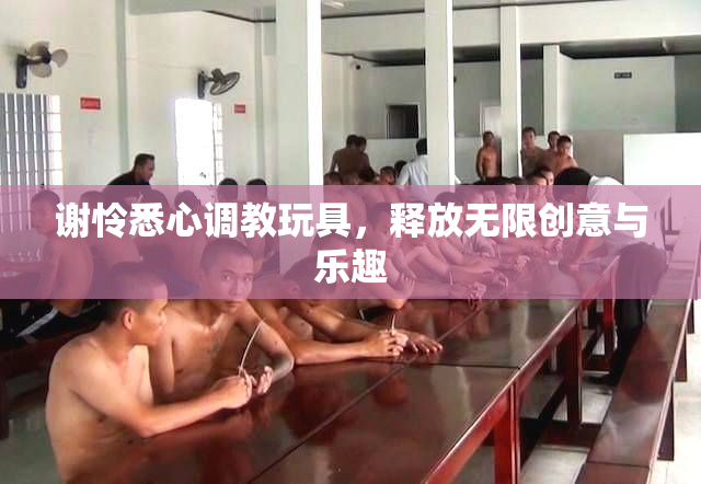 谢怜悉心调教玩具，释放无限创意与乐趣