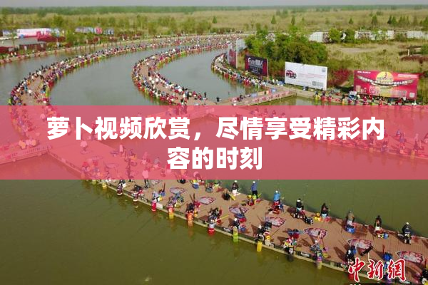 萝卜视频欣赏，尽情享受精彩内容的时刻