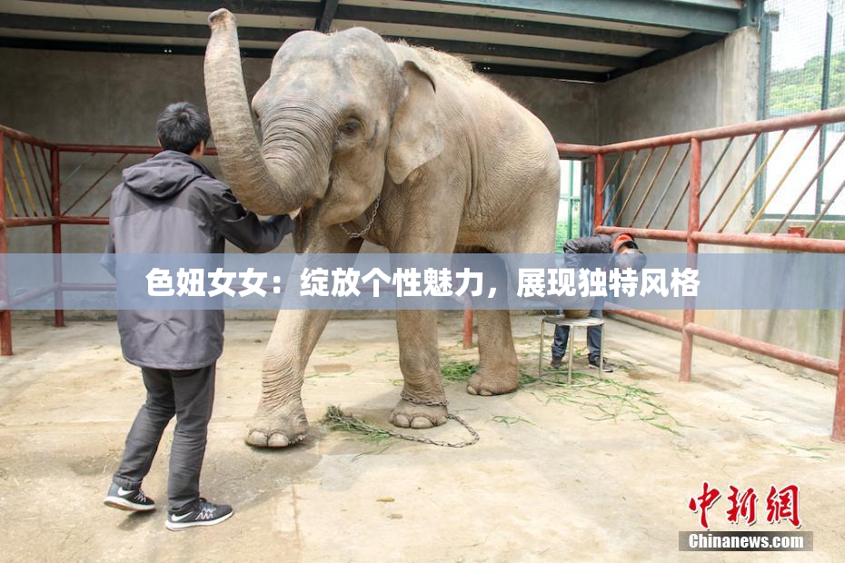 色妞女女：绽放个性魅力，展现独特风格