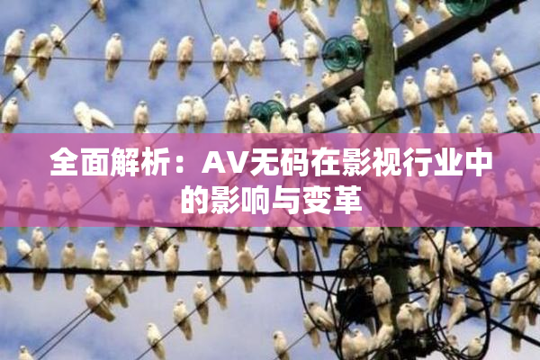全面解析：AV无码在影视行业中的影响与变革