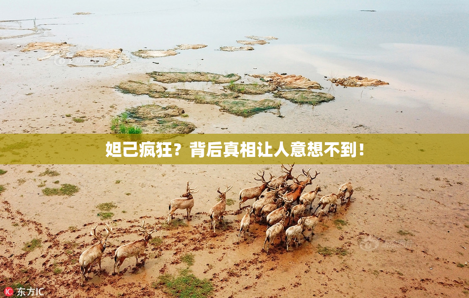 妲己疯狂？背后真相让人意想不到！