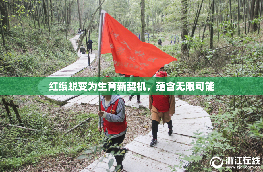 红缨蜕变为生育新契机，蕴含无限可能