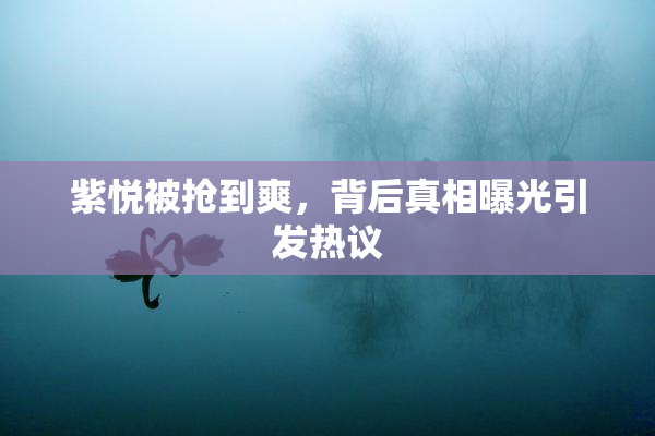 紫悦被抢到爽，背后真相曝光引发热议