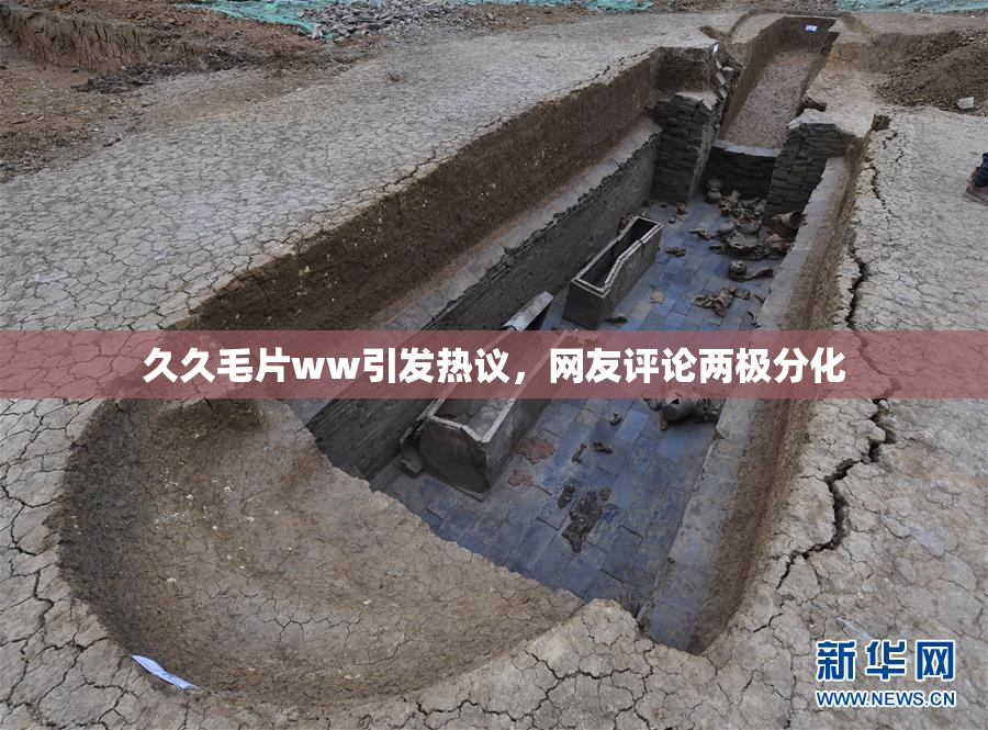 久久毛片ww引发热议，网友评论两极分化