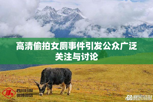 高清偷拍女厕事件引发公众广泛关注与讨论