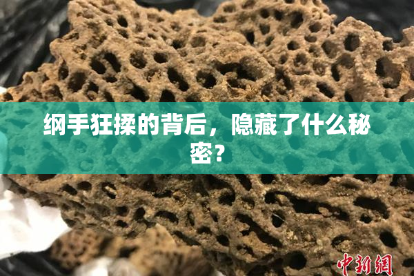 纲手狂揉的背后，隐藏了什么秘密？