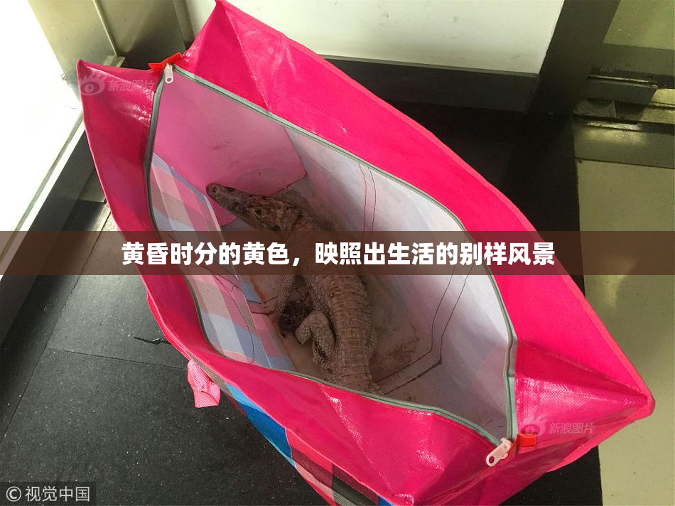 黄昏时分的黄色，映照出生活的别样风景