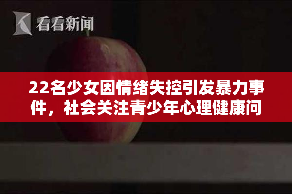 22名少女因情绪失控引发暴力事件，社会关注青少年心理健康问题