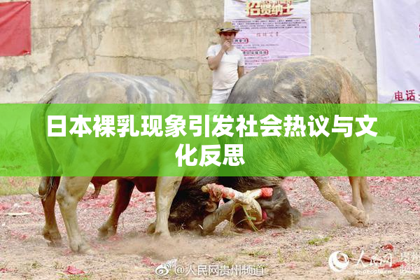 日本裸乳现象引发社会热议与文化反思