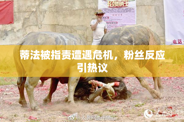 蒂法被指责遭遇危机，粉丝反应引热议