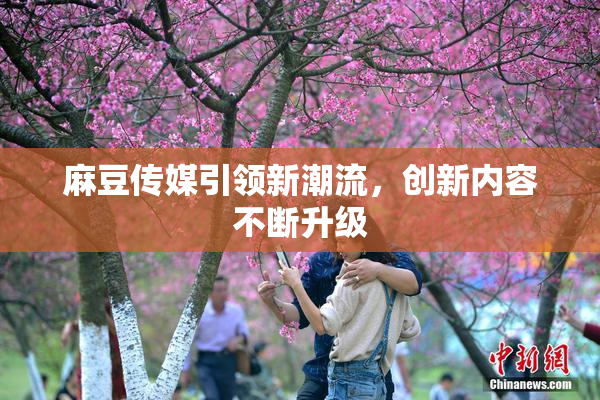麻豆传媒引领新潮流，创新内容不断升级