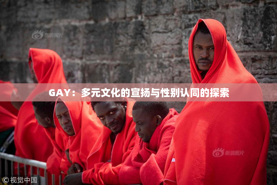 GAY：多元文化的宣扬与性别认同的探索
