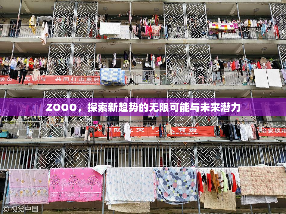 ZOOO，探索新趋势的无限可能与未来潜力