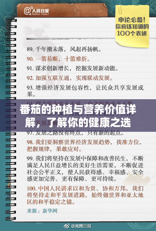 番茄的种植与营养价值详解，了解你的健康之选