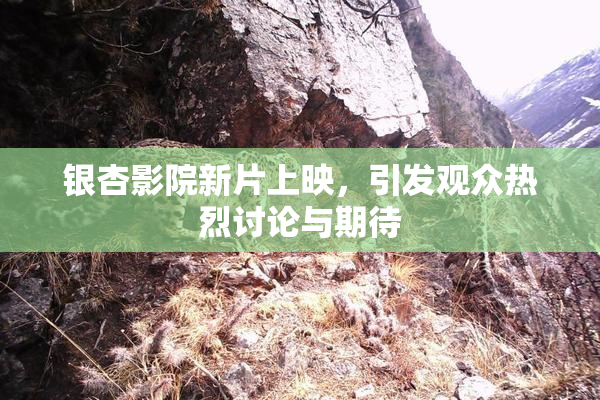 银杏影院新片上映，引发观众热烈讨论与期待