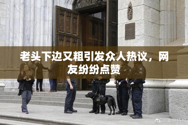老头下边又粗引发众人热议，网友纷纷点赞